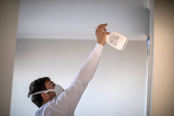 Best Mold Testing  in Morton, TX