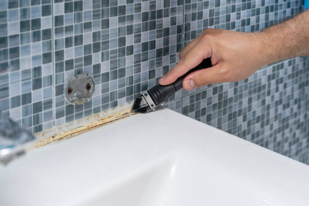 Reliable Morton, TX Mold Removal Solutions