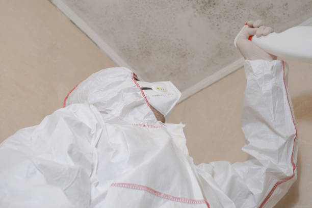 Water Damage Restoration in Morton, TX