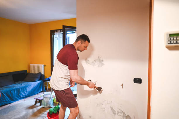 Best Crawl Space Mold Removal  in Morton, TX